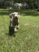 processed/714e5562-cda8-41e9-b76a-f1b0eb351b8f/listing/b03809ce-ee18-4f46-b041-ce5c4e26bc9b/d4c773f8-c95b-4703-b905-cd70ef2ad9b8