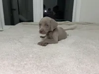 processed/714e5562-cda8-41e9-b76a-f1b0eb351b8f/listing/b03809ce-ee18-4f46-b041-ce5c4e26bc9b/e10dea23-7ccf-4720-8c9c-e8b50a3a4aba