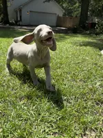 processed/714e5562-cda8-41e9-b76a-f1b0eb351b8f/listing/b03809ce-ee18-4f46-b041-ce5c4e26bc9b/f4d19ea5-ffc1-43bf-870a-43dba5ad3efb