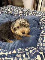 processed/714fe15d-4711-4203-9308-c01e67a7eba0/listing/d0aeda2d-64af-4246-adc9-a5bfce1fecad/a6c072ca-8ffb-4a57-826f-e0bc4ec56c87