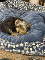 processed/714fe15d-4711-4203-9308-c01e67a7eba0/listing/d0aeda2d-64af-4246-adc9-a5bfce1fecad/edb645e3-5f04-4cd0-8403-74608285ce75