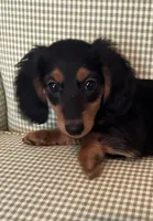 processed/715610fb-43ae-4e94-b502-d6da1a3db5e9/listing/4d438f49-6ebe-4957-a7d8-ec734e3fa066/093e8a4a-22ad-470a-bb27-9279106d2981