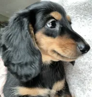 processed/715610fb-43ae-4e94-b502-d6da1a3db5e9/listing/4d438f49-6ebe-4957-a7d8-ec734e3fa066/171b24c3-f307-44ec-b7b0-f0d0b0e24e8b