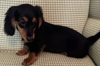 processed/715610fb-43ae-4e94-b502-d6da1a3db5e9/listing/4d438f49-6ebe-4957-a7d8-ec734e3fa066/6394f46d-c9a7-4462-9f1a-1ab6c79418cb