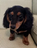 processed/715610fb-43ae-4e94-b502-d6da1a3db5e9/listing/4d438f49-6ebe-4957-a7d8-ec734e3fa066/d688a095-3fbc-4073-9fec-e2bc83d0b270