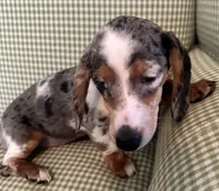 processed/715610fb-43ae-4e94-b502-d6da1a3db5e9/listing/5745eb07-788a-497b-9128-5239950a90ec/082f7106-2f5e-4c8e-93bf-60897f42e949