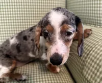 processed/715610fb-43ae-4e94-b502-d6da1a3db5e9/listing/5745eb07-788a-497b-9128-5239950a90ec/234879f4-31b1-452e-af4d-1087ba2a3028