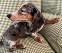 processed/715610fb-43ae-4e94-b502-d6da1a3db5e9/listing/5745eb07-788a-497b-9128-5239950a90ec/56e3ba2b-3c11-43a9-896e-c36ae65a0426