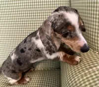 processed/715610fb-43ae-4e94-b502-d6da1a3db5e9/listing/5745eb07-788a-497b-9128-5239950a90ec/caa180aa-ecc2-4d71-b947-ca870bfe4098