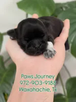 processed/7156f4e1-082a-497b-81e7-dbff39f9e496/listing/50f51650-9363-4d20-93ea-e42218d553b3/ea435b2a-35a0-4eb4-946f-a708d5345c9a