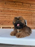 processed/7156f4e1-082a-497b-81e7-dbff39f9e496/listing/688bac00-2a3a-44a8-9211-c4282c8ee8ff/124ba6e8-e267-4d06-9b24-04c723ce8020