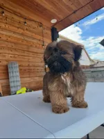 processed/7156f4e1-082a-497b-81e7-dbff39f9e496/listing/688bac00-2a3a-44a8-9211-c4282c8ee8ff/24e02440-8bc2-446f-82c7-c7727bc101fa