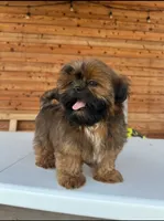 processed/7156f4e1-082a-497b-81e7-dbff39f9e496/listing/688bac00-2a3a-44a8-9211-c4282c8ee8ff/2d3004fc-5cb9-470e-beb4-9568cd5649bf