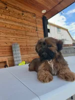 processed/7156f4e1-082a-497b-81e7-dbff39f9e496/listing/688bac00-2a3a-44a8-9211-c4282c8ee8ff/48c9cfff-96a0-41f7-8601-e1070a7aaa26