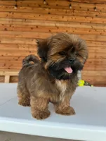 processed/7156f4e1-082a-497b-81e7-dbff39f9e496/listing/688bac00-2a3a-44a8-9211-c4282c8ee8ff/55b3592f-0bfa-41e0-9d69-2ac4ce2ec58f