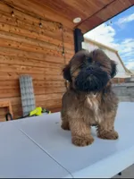 processed/7156f4e1-082a-497b-81e7-dbff39f9e496/listing/688bac00-2a3a-44a8-9211-c4282c8ee8ff/5d550d1c-b6f2-4568-83bf-d04c18bdb689