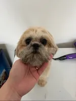 processed/7156f4e1-082a-497b-81e7-dbff39f9e496/listing/688bac00-2a3a-44a8-9211-c4282c8ee8ff/dbb7fc7e-31f7-4060-8e96-19d452f53bab