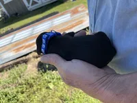 Bert, a male Goldendoodle for sale in Hattieville, AR – Photo 1 of 2