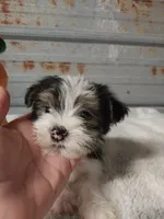 processed/715a1b4c-bdf5-4f98-9d31-9ae20fec4a9b/listing/1dd986a3-1d30-431c-a1be-5de805348c31/03c8a98e-609e-4682-9f70-3d77e509e45c