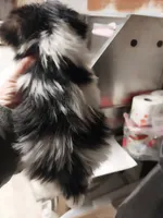 processed/715a1b4c-bdf5-4f98-9d31-9ae20fec4a9b/listing/1dd986a3-1d30-431c-a1be-5de805348c31/c561864c-6500-41c6-bbc3-00573b9e6e4f