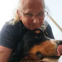 Kelly, a female Bernese Mountain Dog for sale in Hattieville, AR – Photo 2 of 3