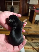 processed/715a1b4c-bdf5-4f98-9d31-9ae20fec4a9b/listing/8e3b1f51-8ccb-465a-a7be-a74850954533/40e0237d-d841-493e-b1cb-8efc55d0c7b8