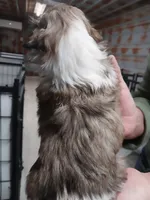 processed/715a1b4c-bdf5-4f98-9d31-9ae20fec4a9b/listing/9cdaa5ff-4380-4283-947d-c11d95e08e48/41f2f509-f167-4d35-93a2-01dbbc33e6f4