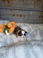 processed/715a1b4c-bdf5-4f98-9d31-9ae20fec4a9b/listing/9cdaa5ff-4380-4283-947d-c11d95e08e48/5c7d4cbb-0559-4baa-8a99-79dbdc66c4f8