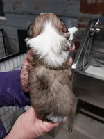 processed/715a1b4c-bdf5-4f98-9d31-9ae20fec4a9b/listing/9cdaa5ff-4380-4283-947d-c11d95e08e48/7ab31dd1-560d-4d65-9989-328f46351ba5