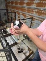 processed/715a1b4c-bdf5-4f98-9d31-9ae20fec4a9b/listing/9cdaa5ff-4380-4283-947d-c11d95e08e48/7dbd0143-6a90-4692-9e08-0edfd377de00