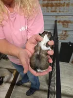 processed/715a1b4c-bdf5-4f98-9d31-9ae20fec4a9b/listing/9cdaa5ff-4380-4283-947d-c11d95e08e48/8aa6b80a-3aac-418e-b04d-bfaaec32bde9