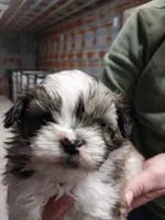 processed/715a1b4c-bdf5-4f98-9d31-9ae20fec4a9b/listing/9cdaa5ff-4380-4283-947d-c11d95e08e48/a2c0ab78-2e3f-4266-8a24-033704f2a2f2