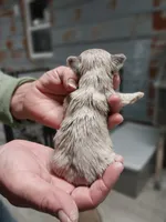 Maddie, a female Yorkshire Terrier for sale in Hattieville, AR – Photo 2 of 8