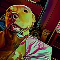 processed/715a223e-7d55-46c4-b29a-d4a08023d7ea/facility/4202dc45-a323-4de8-b246-eac2f442c8d9