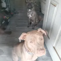 processed/715a223e-7d55-46c4-b29a-d4a08023d7ea/facility/5a484bad-5583-4b0c-9654-1ddef877b62e