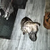 processed/715a223e-7d55-46c4-b29a-d4a08023d7ea/facility/72721224-c909-48fc-875e-3c2ad280dafa