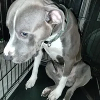 processed/715a223e-7d55-46c4-b29a-d4a08023d7ea/facility/771c7ee7-1dba-4f12-9385-89ff5e7f3c2c