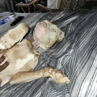 processed/715a223e-7d55-46c4-b29a-d4a08023d7ea/facility/bf5c34e5-ebf8-4255-a1a1-8a145ba8a8d7