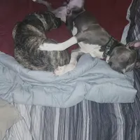 processed/715a223e-7d55-46c4-b29a-d4a08023d7ea/facility/c09618b0-ec78-4d8a-8912-c3a895ad162a