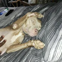 processed/715a223e-7d55-46c4-b29a-d4a08023d7ea/facility/c79aae07-b019-477b-976f-638910e6b283