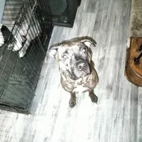 processed/715a223e-7d55-46c4-b29a-d4a08023d7ea/facility/d1701f61-d595-4038-8a9b-b3a2db015516