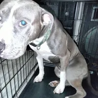 processed/715a223e-7d55-46c4-b29a-d4a08023d7ea/facility/ece5be1b-d0ba-4b25-a361-361ff4b762ee