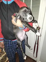 processed/715a223e-7d55-46c4-b29a-d4a08023d7ea/listing/5ad4392a-fe95-4a32-bbe1-19e83094e896/36ea1021-8544-4b35-84ef-f9c54d853ec5