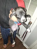 processed/715a223e-7d55-46c4-b29a-d4a08023d7ea/listing/5ad4392a-fe95-4a32-bbe1-19e83094e896/6eb9a96c-dd29-4be1-b335-cacd276968f2