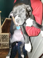 processed/715a223e-7d55-46c4-b29a-d4a08023d7ea/listing/5ad4392a-fe95-4a32-bbe1-19e83094e896/86fc0714-ae3b-4b77-a764-3033ba136146