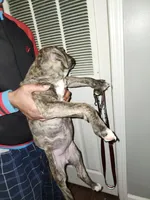 processed/715a223e-7d55-46c4-b29a-d4a08023d7ea/listing/9b19662a-7489-44dc-891c-3ef91e528952/1172906f-5a76-48f0-8429-3ac13d0dd369