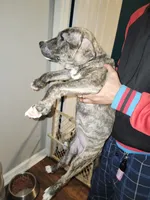 processed/715a223e-7d55-46c4-b29a-d4a08023d7ea/listing/9b19662a-7489-44dc-891c-3ef91e528952/8ff0eb9b-4770-43ff-a0bd-ba91a15d44aa