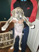 processed/715a223e-7d55-46c4-b29a-d4a08023d7ea/listing/9b19662a-7489-44dc-891c-3ef91e528952/f8068a6f-c215-496f-a587-fcb133fc419f