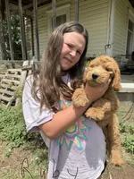 Ruby, a female Bernedoodle for sale in Spur, TX – 2 of 2