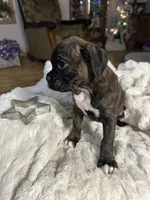 processed/716a5d69-b26a-4b62-8231-908aaed0d91f/listing/c43605f4-412f-4d3d-bc23-aef0b7bb9669/25e897ba-626c-447a-bf70-a5aabf665dba